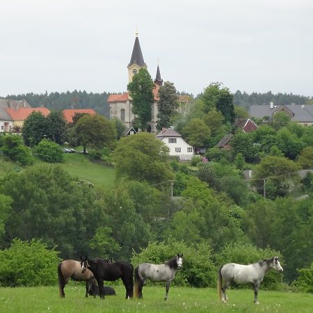 Hostinec U Janatu S Ubytovanim Cestin Buitenkant foto