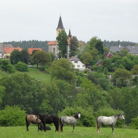 Hostinec U Janatu S Ubytovanim Hotel Cestin Buitenkant foto